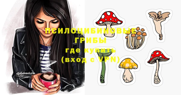 экстази Арсеньев