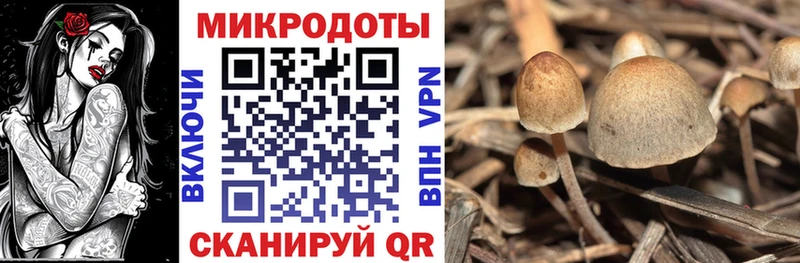 Галлюциногенные грибы MAGIC MUSHROOMS  ОМГ ОМГ ссылки  Каменск-Уральский  наркота 